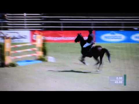 CARLSON TURNIER VERDEN SPRINGPFERDE KL M HANNOVERANER SPRINGPFERDECHAMPIONAT