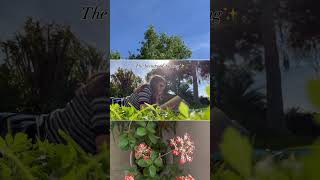 Springtime reading…new videos coming soon! 📚 Subscribe to join my journey as a writer! #shorts