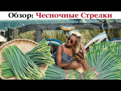 ТОП-8 рецептов блюд из Чесночных Стрелок. Выпуск 48