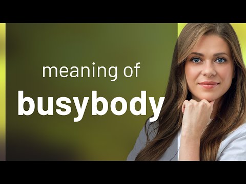 Busybody | BUSYBODY meaning