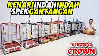 Download lagu KENARI PROSPEK LOMBA‼️Banyak RASMI indah-indah di sini... mp3