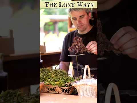 The Lost Ways Book by Claude Davis (19) #shorts #survival #camp #thelostways #lostwaysbook #survive