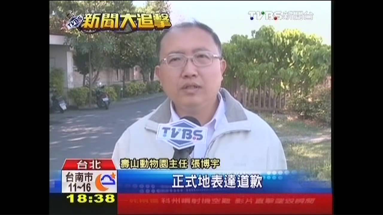 黑熊遭咬死瞞1月　北市府震驚不滿
