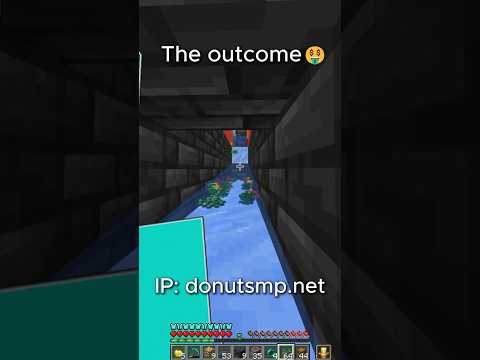 THE New META To Making MONEY On The Donut Smp