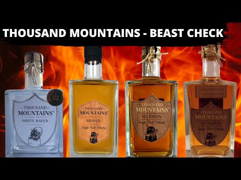 Thousand Mountains im BEAST CHECK - Die zweite Chance
