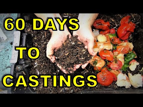 Fast Easy Worm Castings- DIY Worm Compost Bin