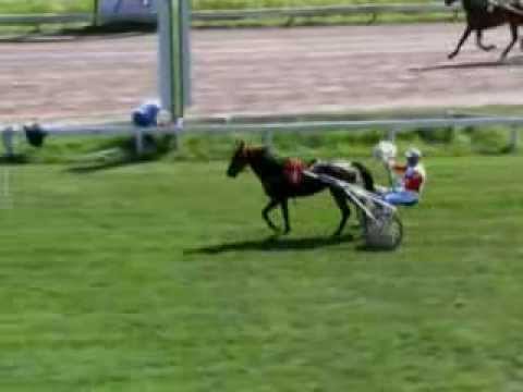 Dacey Boko & Frank Crébas winnen Derbyselectie D1 - Duindigt 11 aug. 2013