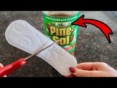 Put $1 Pine Sol on your Panty Liner 💥 Miracle & Ingenious Trick! (WATCH THIS)