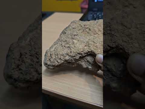 Shilajit Extract Powder