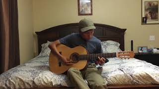 Hot Venom by Miniature Tigers (Guitar Cover)