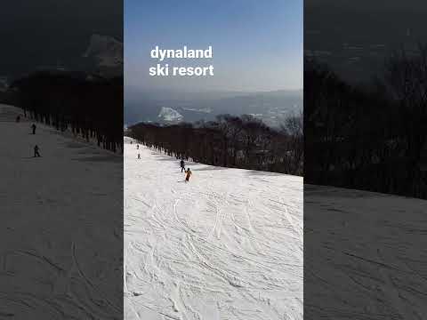 dynaland,ski resort in  Japan #shortvideo #heavysnowfall #snow #japan #short #shorts