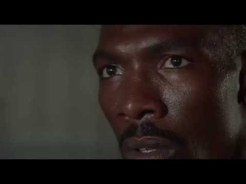 What was on TV that made Gusto in the jail so angry