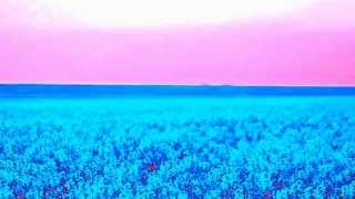 New Republic - Will Brennan [Young Man Blues]