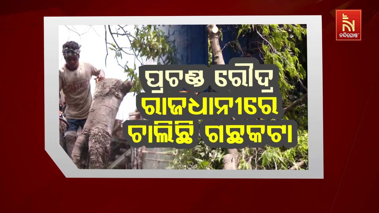 🔴 Live | ପ୍ରଚଣ୍ଡ ରୌଦ୍ର :ରାଜଧାନୀରେ ଚାଲିଛି ଗଛକଟା