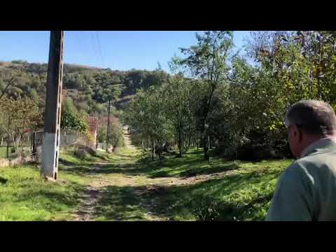 Dealul de la Chisindia, pe care primarul Ionel Pașca vrea să constuiască capela mortuară