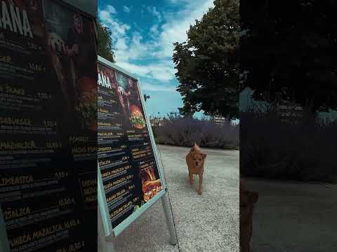 Eno Promotions video projekt