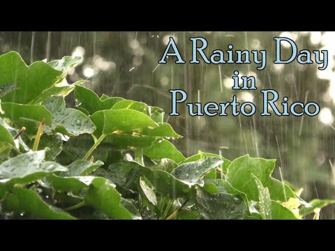 Relaxing Rain Sounds for Sleeping - Raining in Puerto Rico with Coqui Frogs