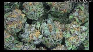 Colour Haze - Reefer