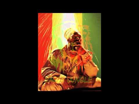 Krak In Dub ft.Anthony B - Stop Fight