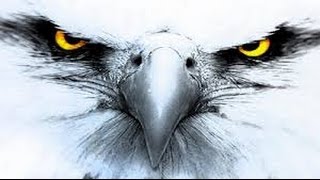 Steel Eagles - (Águilas de Acero) - Isaac Daniel Alvarez López - NEW AGE-