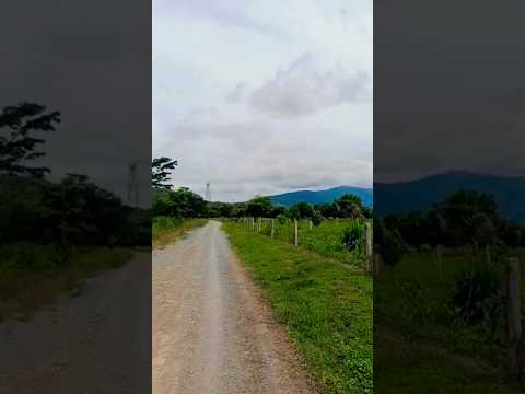 Canta Conmigo - Diomedes Diaz