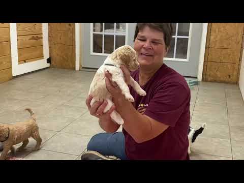 Deb's Doodles Movie Monday 7-5-2021 Anna