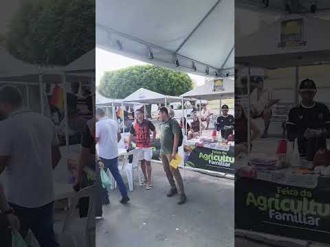 Feira agricultura familiar Madalena ce