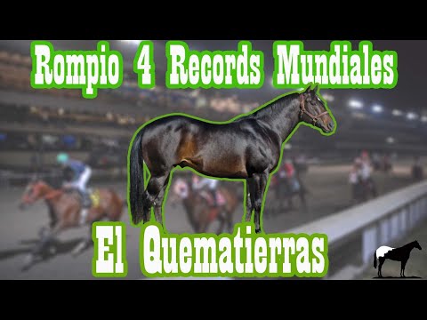 El Quematierras "First Moonflash"🐴-Del Cerro Soy