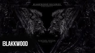 Viktor Sheen - Level Up (ft. L.D.)