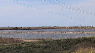 הדלפה משיחה חשאית בקבינט: "אנחנו צריכים לבחור בחיים"... והעיקר זה לעשות"... ולראות טוב באחר"...