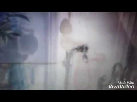 The Aristoponies Part 3