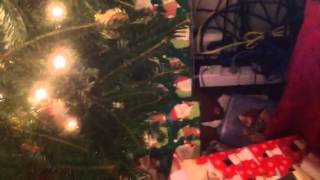 Lexi ruins Christmas