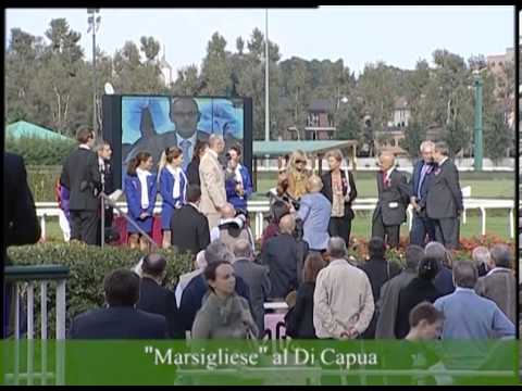 Premio Di Capua 2013