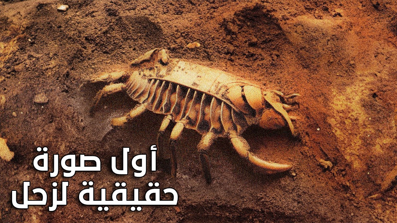 أول صورة صادمة لزحل وقمر تيتان !!