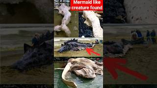 Download lagu Viral Video Of Mermaid-Like' Creature/அது கடல்கன்னியா? குழப்பத்தில் நிபுணர்கள்!/#tamil/#shorts mp3