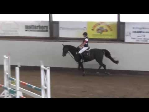 Nintendo f-10 Dagstorp 140903