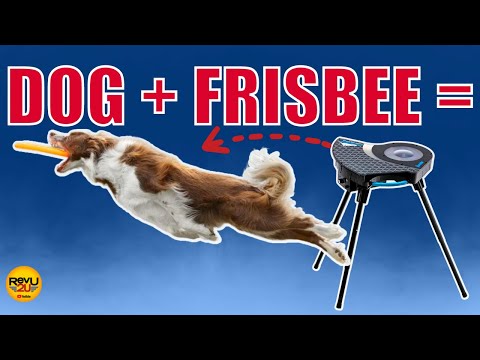 The Best Dog Toy for Playing Frisbee - the Franklin Sports Disc Launcher