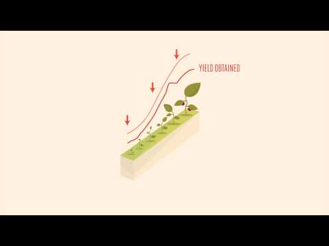 Delfan Plus - Speak the Language of Plants