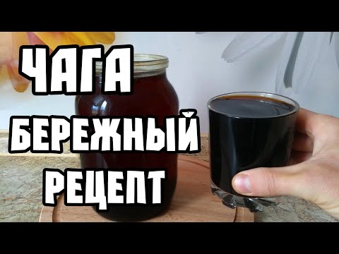 Чага бережный способ заваривания (купить Чагу и Мухоморы сушеные можно здесь)