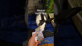Can these rabbits open packs? Let's find out! #pokemon #bunny #rabbit