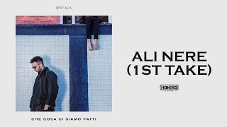 BRIGA - 13 - ALI NERE (1st TAKE)