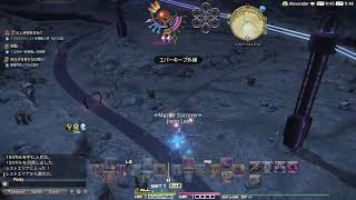 [FF14]デイリーしたりまったり朝活ぅーー