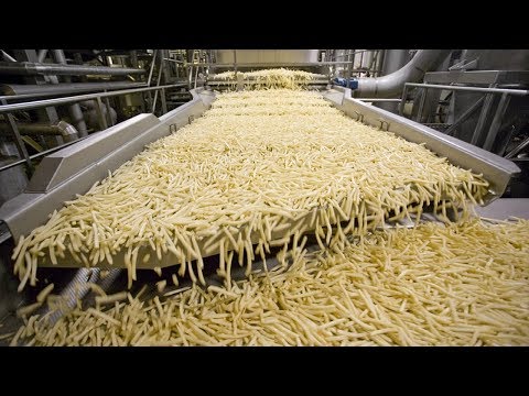 , title : 'World Amazing Automatic French Fries Production Line Modern Food Processing Technology'