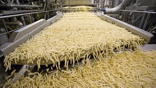 World Amazing Automatic French Fries Production Line Modern Food Processing Technology
