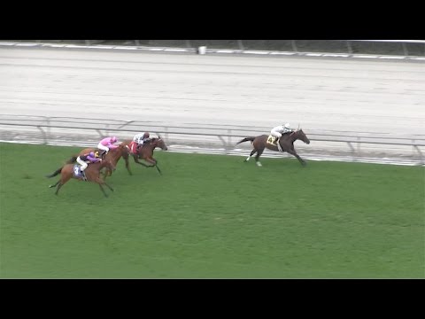 Sircat Sally wins sixth straight race at Santa Anita