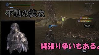 不動の装衣入手クエ！縄張り争いもあるよん【MHW#30】
