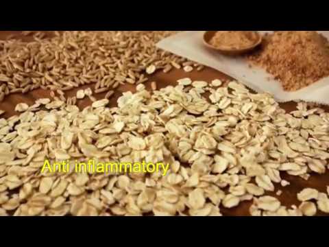 download lagu mp3 mp4 Oatmeal Breakfast Pizza, download lagu Oatmeal Breakfast Pizza gratis, unduh video klip Oatmeal Breakfast Pizza