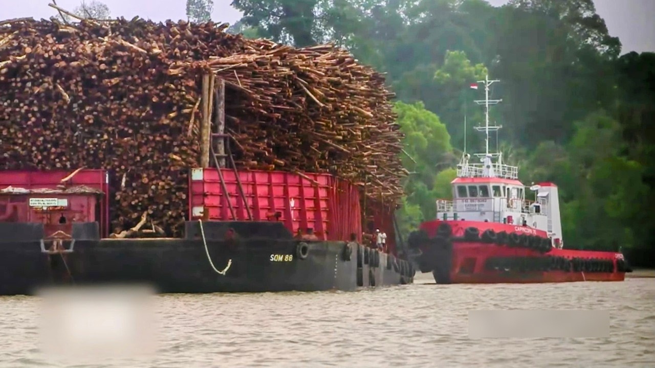 Le bois, les mensonges des géants du mobilier