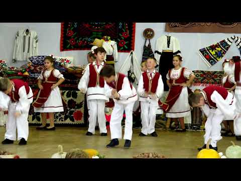 ANSAMBLUL ROMANASUL ZADARENI - DANS DE BIHOR