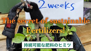 【YouTube-New Zealand】Wow the Secret of Sustainable Fertilizer. Uncharted Possibilities‼